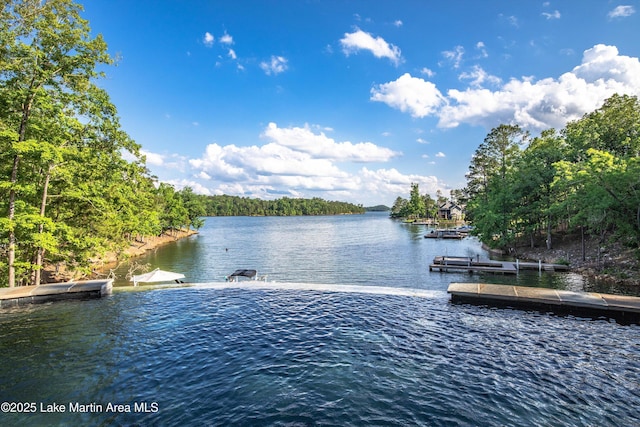 water view with a dock