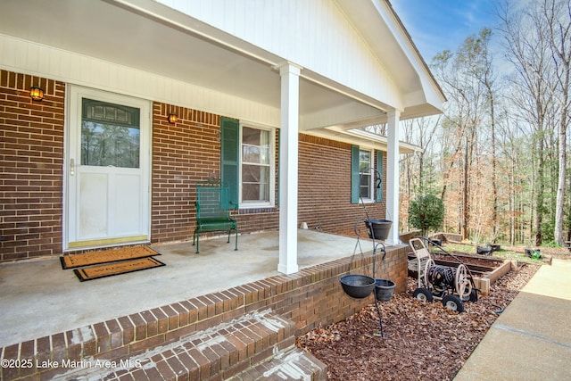 812 Ellis St, Dadeville, AL 36853 - photo 9