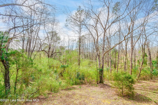 812 Ellis St, Dadeville, AL 36853 - photo 7