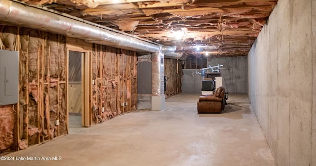 basement featuring electric panel