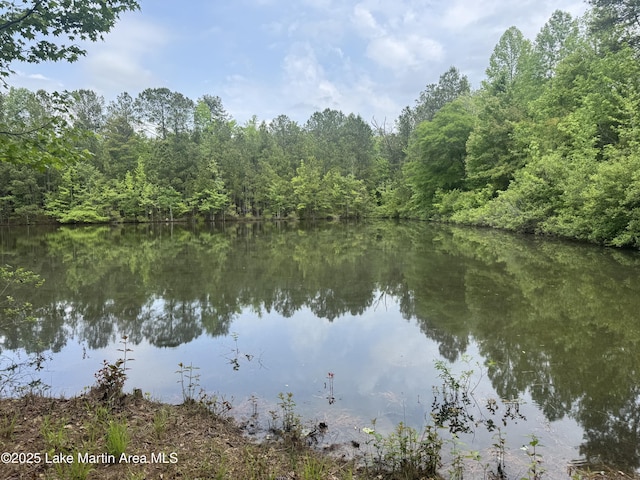 1485 Scott Rd, Alexander City, AL 35010 - photo 39