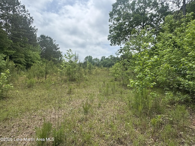 1485 Scott Rd, Alexander City, AL 35010 - photo 38