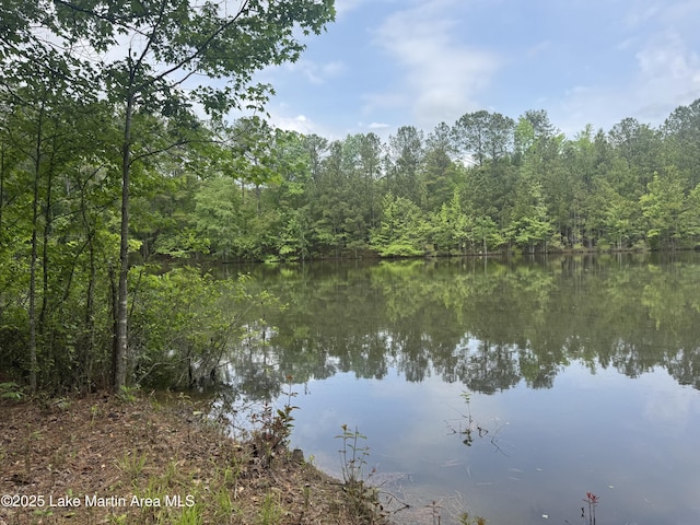 1485 Scott Rd, Alexander City, AL 35010 - photo 40