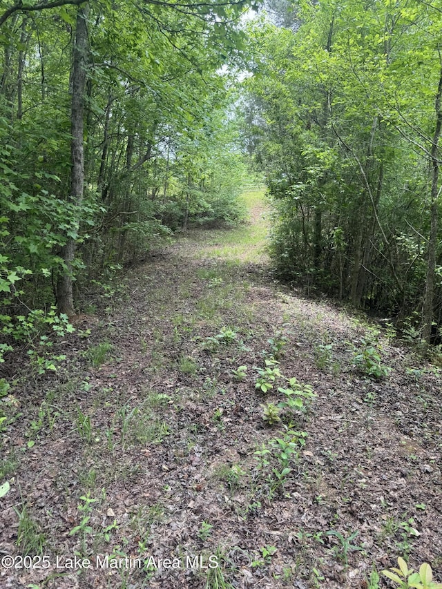 1485 Scott Rd, Alexander City, AL 35010 - photo 35