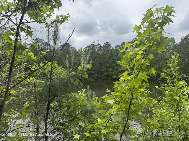 1485 Scott Rd, Alexander City, AL 35010 - photo 41