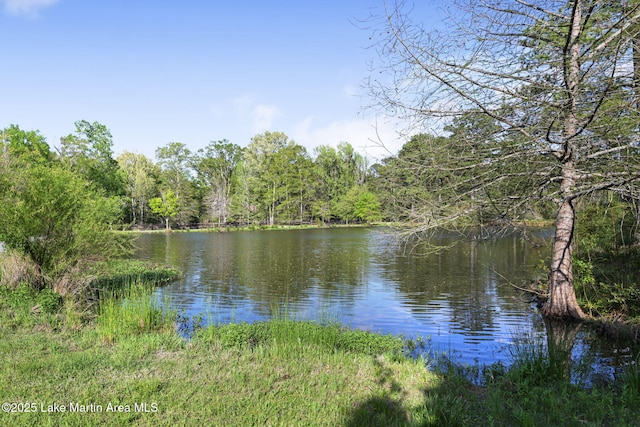 water view with a forest