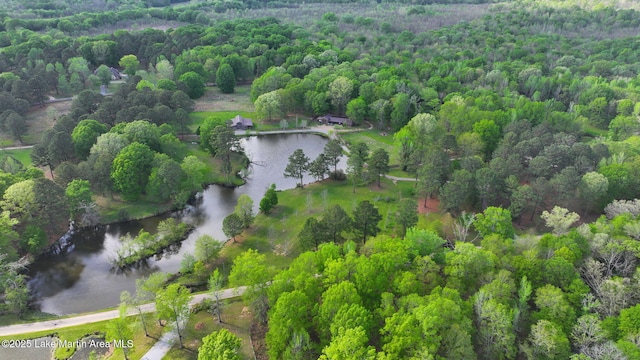 drone / aerial view of a forest and a nearby body of water