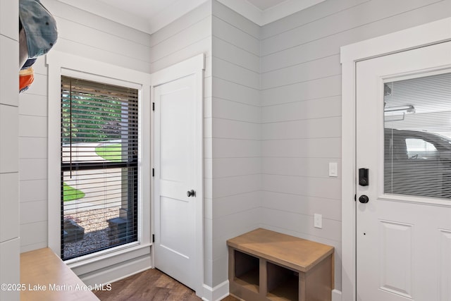 mudroom with dark hardwood / wood-style flooring