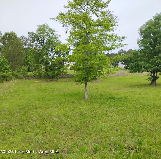 239 Our Rd, Sylacauga, AL 35151 - photo 6