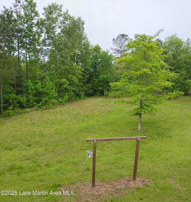 239 Our Rd, Sylacauga, AL 35151 - photo 8