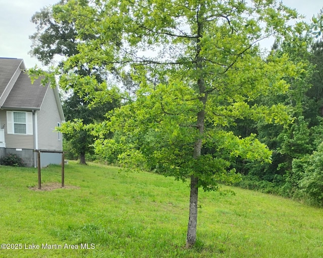 239 Our Rd, Sylacauga, AL 35151 - photo 7