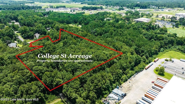 College St, Alexander City, AL 35010