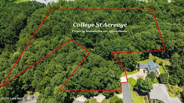College St, Alexander City, AL 35010