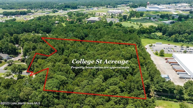College St, Alexander City, AL 35010