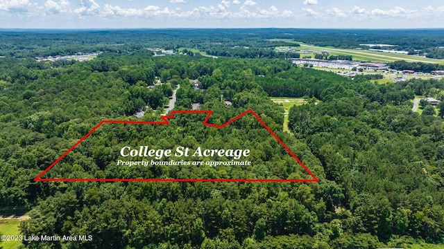College St, Alexander City, AL 35010