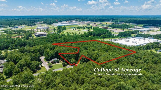 College St, Alexander City, AL 35010