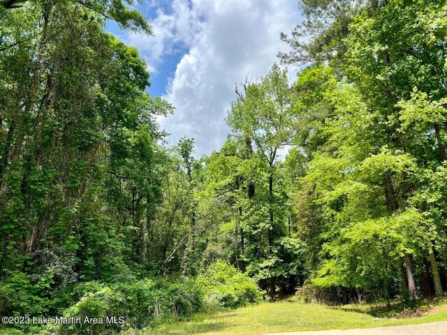 College St, Alexander City, AL 35010