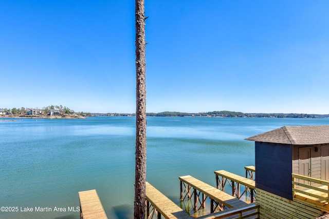 dock area with a water view