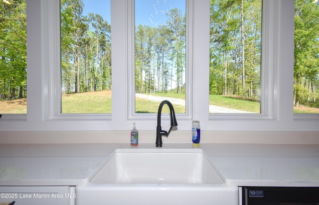 details featuring a sink, light countertops, and black dishwasher