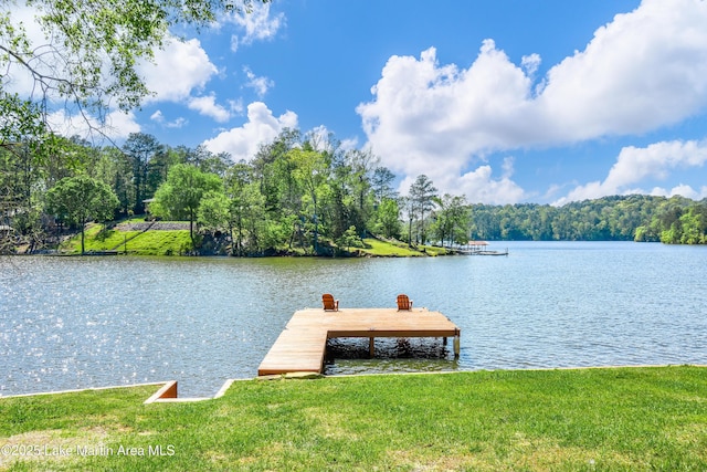 dock area featuring a yard and a water view