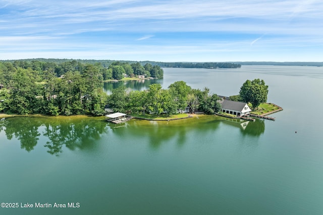 852 Mccain Rd, Eclectic, AL 36024 - photo 3