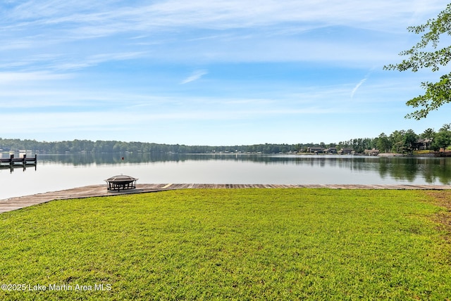 852 Mccain Rd, Eclectic, AL 36024 - photo 23