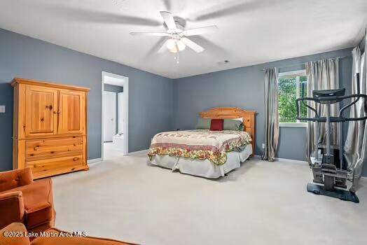 852 Mccain Rd, Eclectic, AL 36024 - photo 41
