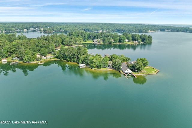 852 Mccain Rd, Eclectic, AL 36024 - photo 4