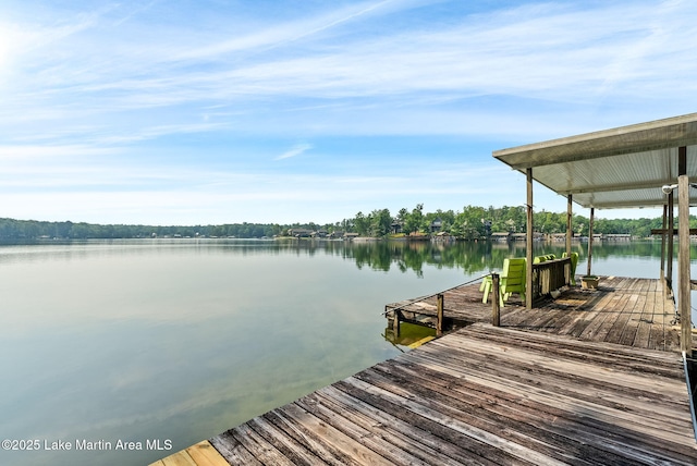 852 Mccain Rd, Eclectic, AL 36024 - photo 21