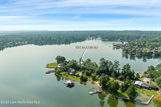 852 Mccain Rd, Eclectic, AL 36024 - photo 5