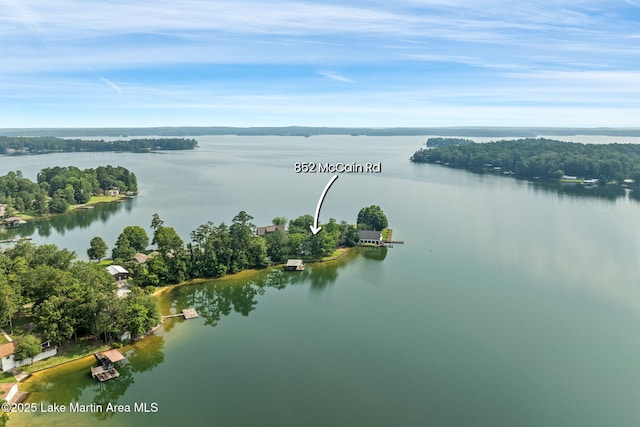 852 Mccain Rd, Eclectic, AL 36024 - photo 2