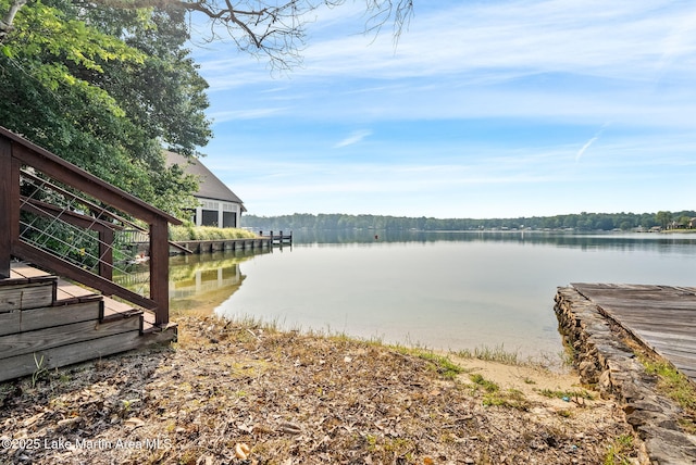 852 Mccain Rd, Eclectic, AL 36024 - photo 24