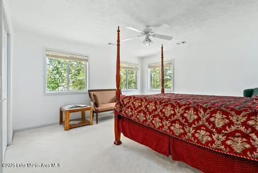852 Mccain Rd, Eclectic, AL 36024 - photo 42