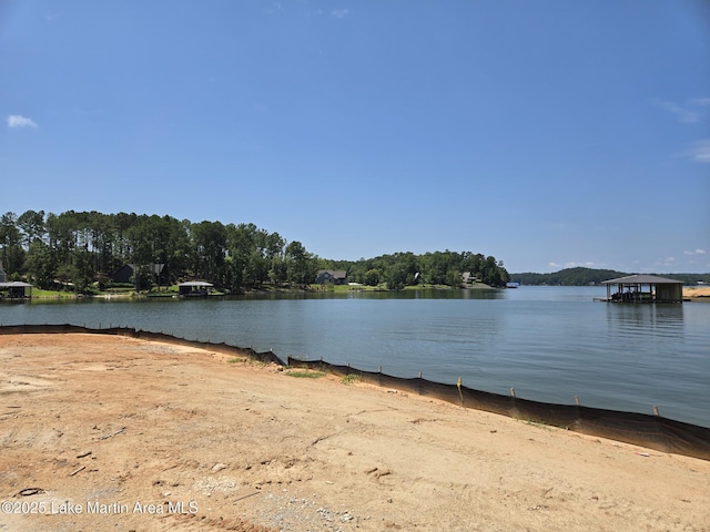 2377 Sturdivant Rd, Jacksons Gap, AL 36861 - photo 5
