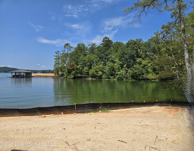 2377 Sturdivant Rd, Jacksons Gap, AL 36861 - photo 9