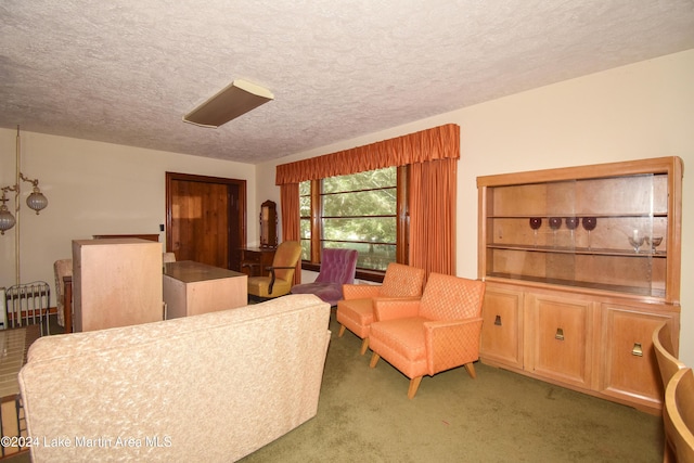 living room featuring carpet and a textured ceiling