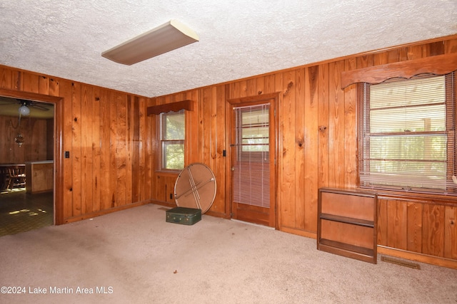 interior space with wooden walls, light colored carpet, a textured ceiling, and a wealth of natural light