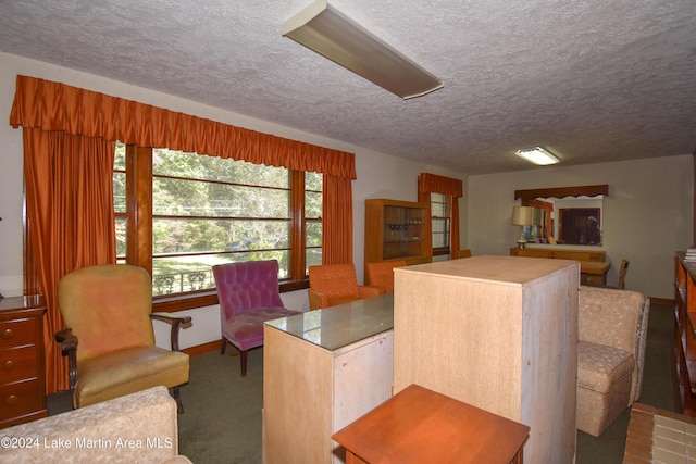 interior space with a textured ceiling