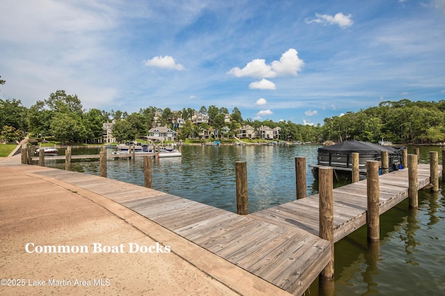 dock area with a water view