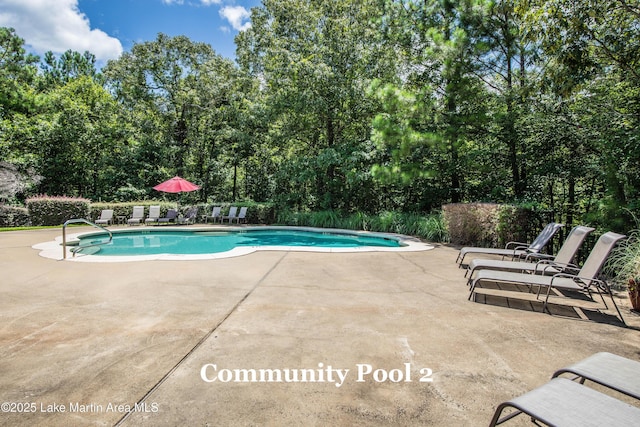 view of pool featuring a patio area