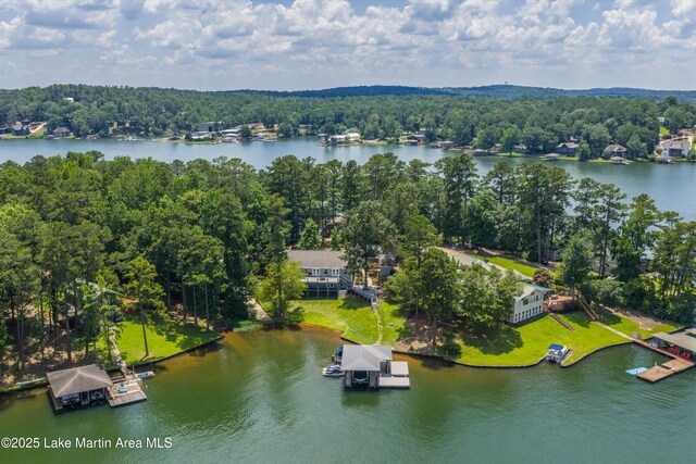 310 Hillwood, Dadeville, AL 36853 - drone / aerial view of a forest and a nearby body of water