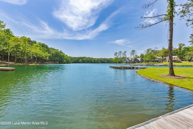 285 Magnolia Way, Dadeville, AL 36853 - water view