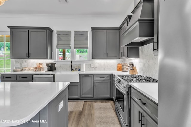 285 Magnolia Way, Dadeville, AL 36853 - kitchen with stainless steel appliances, custom exhaust hood, healthy amount of natural light, and a sink