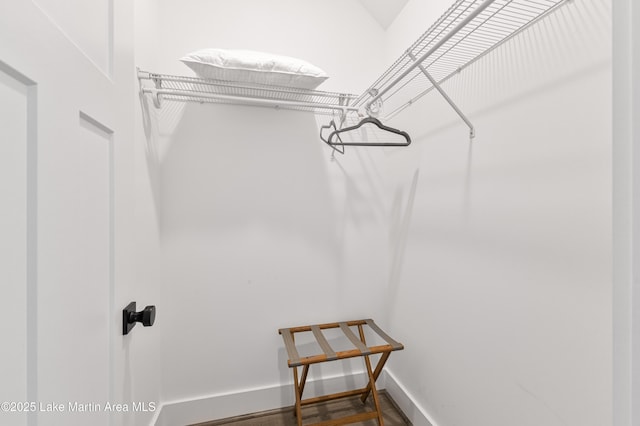 285 Magnolia Way, Dadeville, AL 36853 - walk in closet featuring dark wood-style floors