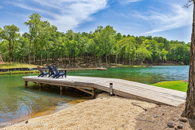 285 Magnolia Way, Dadeville, AL 36853 - dock featuring a water view
