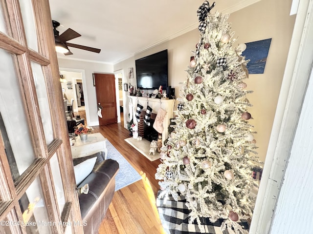 living room featuring hardwood / wood-style floors, ceiling fan, and ornamental molding