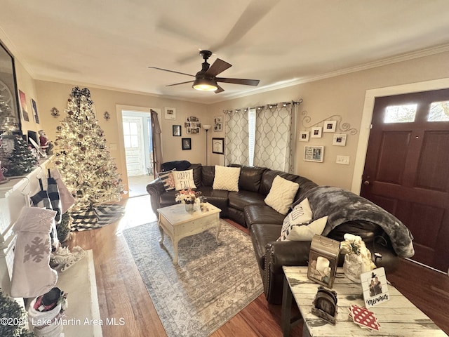 living room featuring hardwood / wood-style flooring, ceiling fan, and ornamental molding