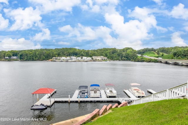 dock area with a water view