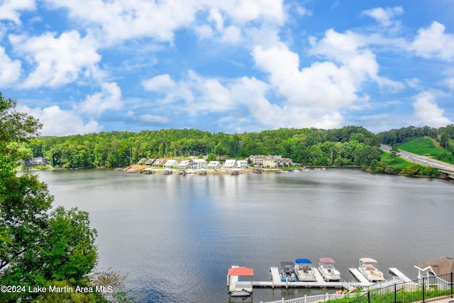 property view of water featuring a boat dock