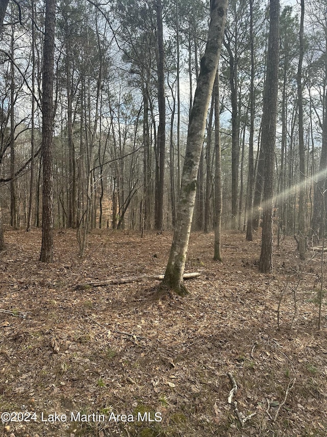 Listing photo 3 for Chinquapin Pass, Dadeville AL 36853